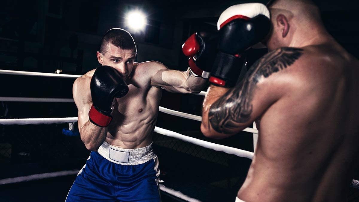combate, apostas, jogos, esportes